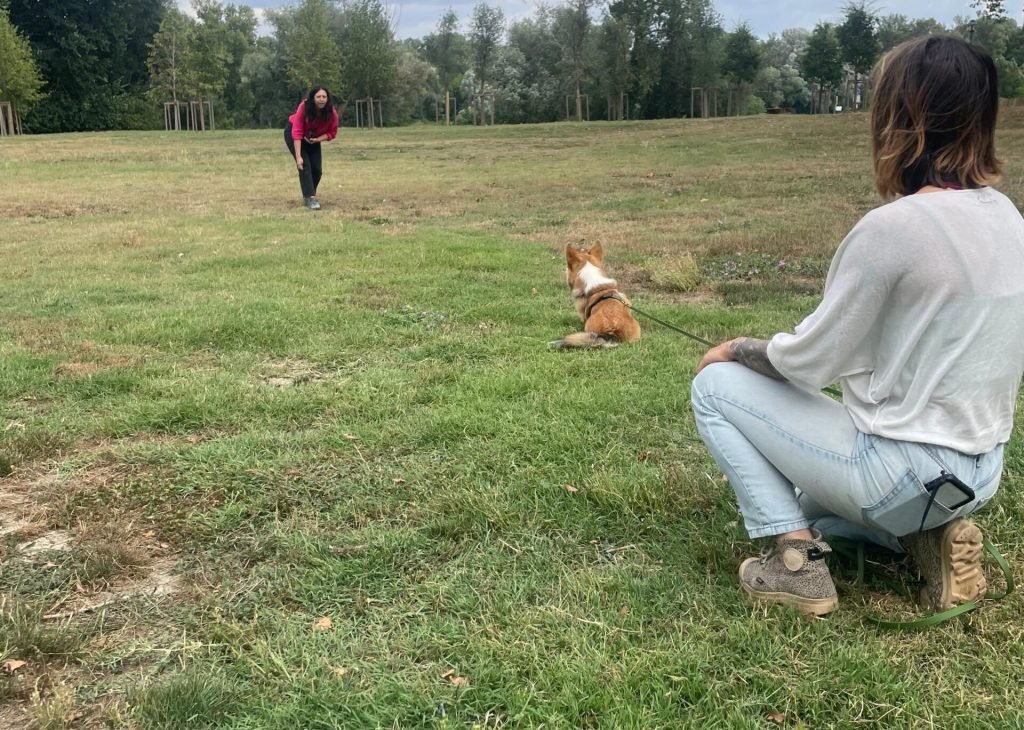 WhatsApp Image 2025-07-28 at 22.15.07