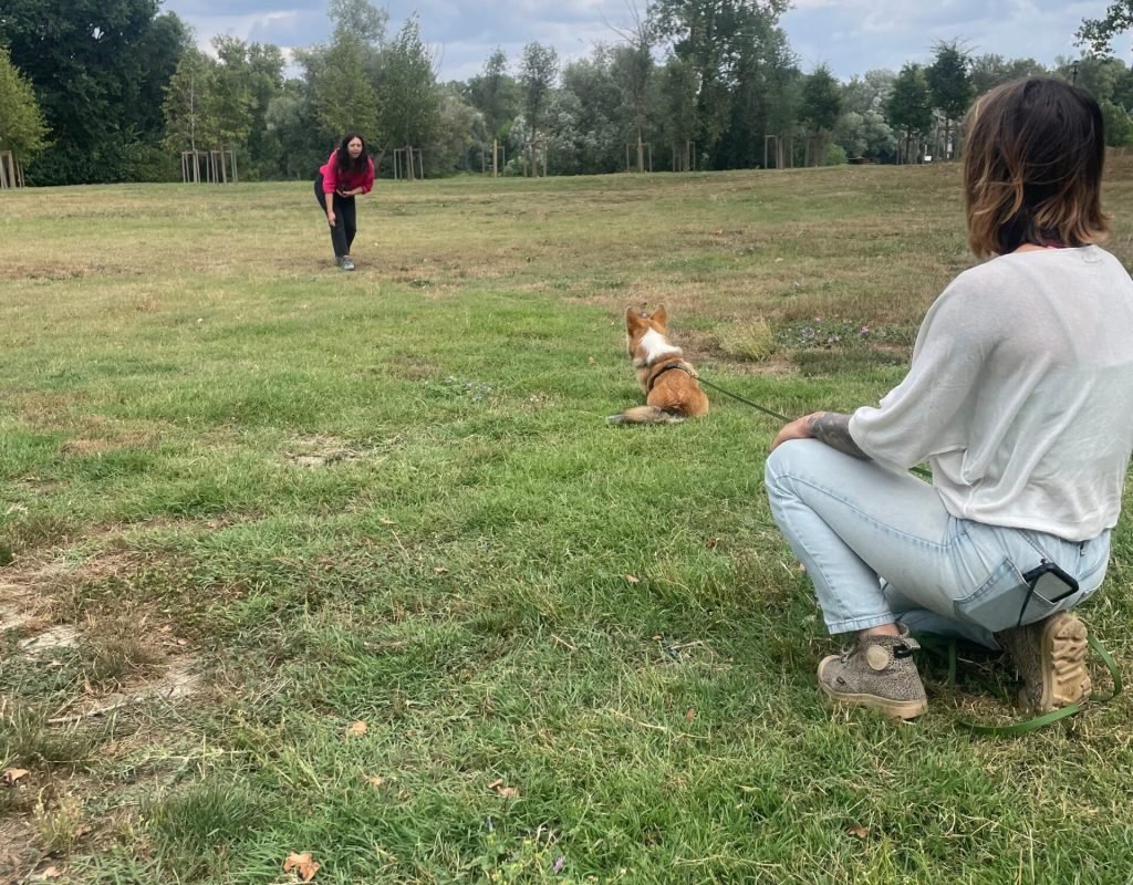 WhatsApp Image 2025-07-28 at 22.15.07