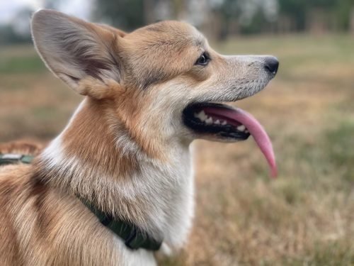 WhatsApp Image 2025-07-28 at 22.15.08(3)