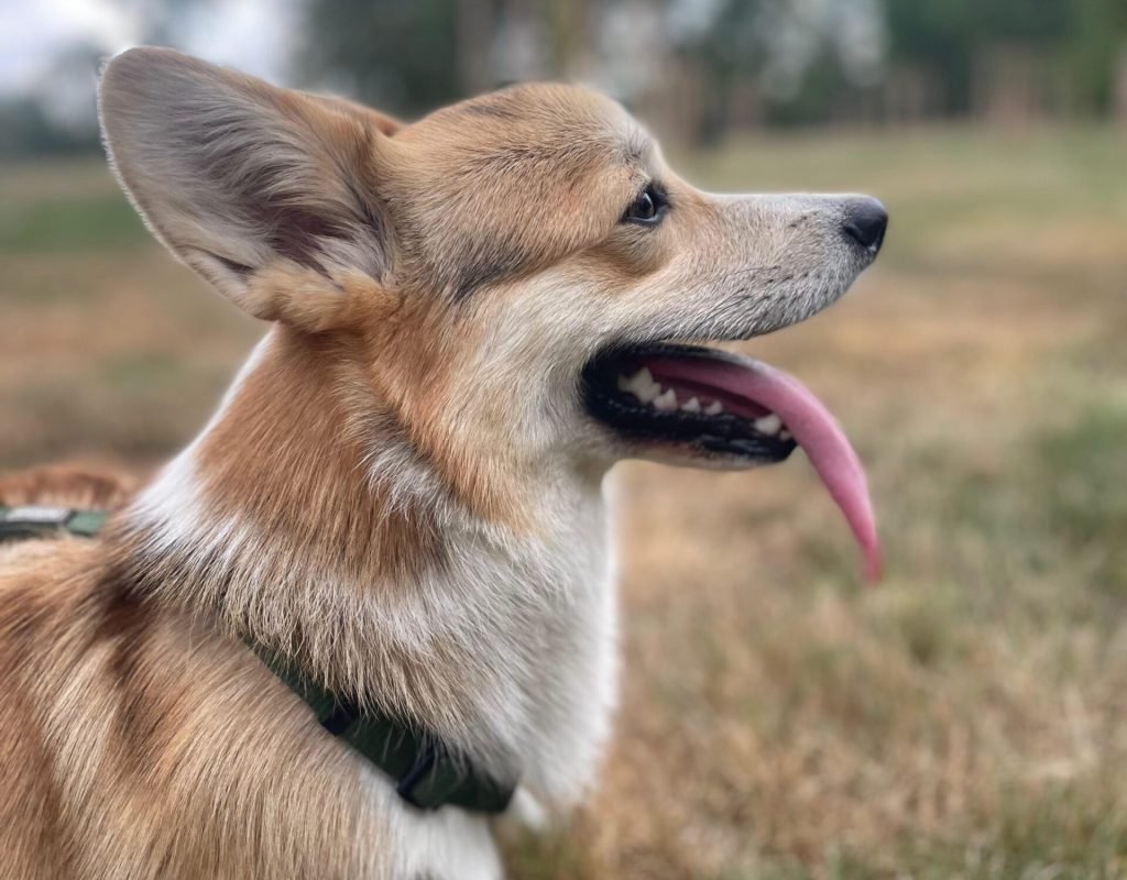 WhatsApp Image 2025-07-28 at 22.15.08(3)