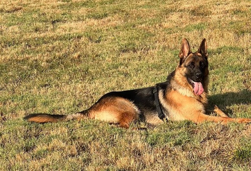 WhatsApp Image 2025-08-15 at 17.42.58