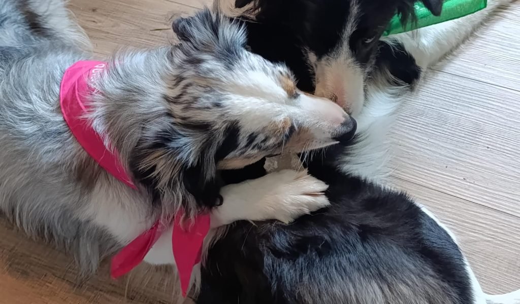 WhatsApp Image 2025-08-15 at 18.22.01