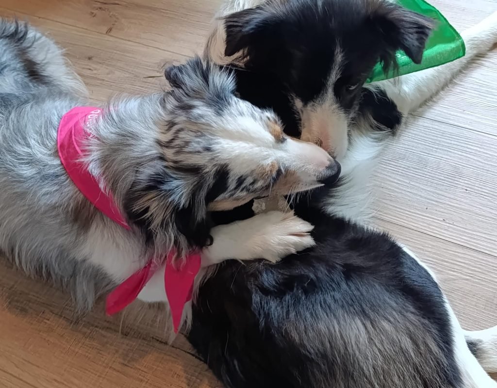 WhatsApp Image 2025-08-15 at 18.22.01